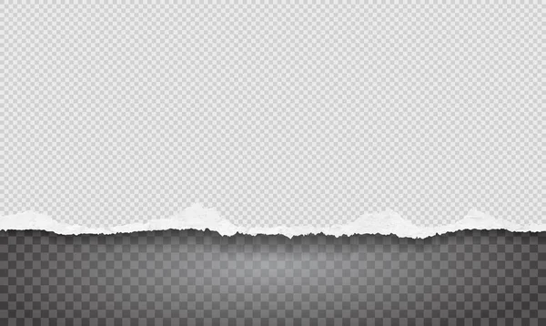 En revne strimler av hvitt, kornet papir med myk skygge er på grå, firkantet bakgrunn. Illustrasjon av vektormal – stockvektor