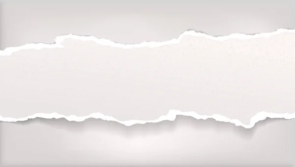 Trozo de tira de papel horizontal blanca desgarrada con sombra suave sobre fondo gris. Ilustración vectorial — Vector de stock