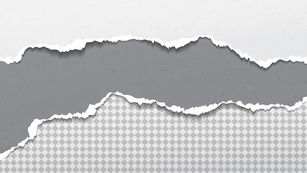 Set van gescheurd, gescheurd wit en grijs papier stroken met zachte schaduw zijn op vierkante achtergrond. Vector sjabloon illustratie — Stockvector