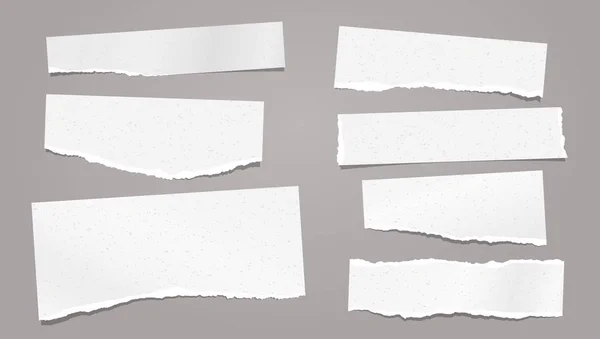 Zestaw podartej białej nuty, pasków papieru i kawałków z miękkim cieniem przyklejonych na szarym tle. Ilustracja wektora — Wektor stockowy