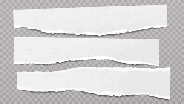 Sæt af revet hvid note, notesbog papirstykker fast på grå kvadreret baggrund. Vektorillustration – Stock-vektor