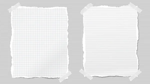 Nota rasgada branco e governado, folhas de papel notebook preso com fita adesiva no fundo cinza forrado. Ilustração vetorial —  Vetores de Stock