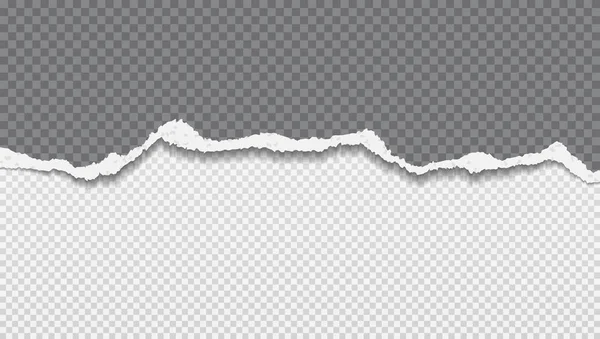 La tira de papel gris oscuro rasgada y rasgada con una sombra suave está sobre un fondo blanco cuadrado. Ilustración de plantilla vectorial — Archivo Imágenes Vectoriales