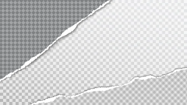 Pezzi di strisce di carta orizzontali quadrate bianche strappate e realistiche con un'ombra morbida sono su sfondo grigio. Illustrazione vettoriale — Vettoriale Stock