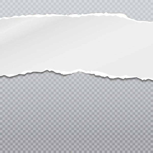 El pedazo rasgado y rasgado de papel blanco horizontal con sombra suave está sobre un fondo gris cuadrado. Ilustración vectorial — Vector de stock