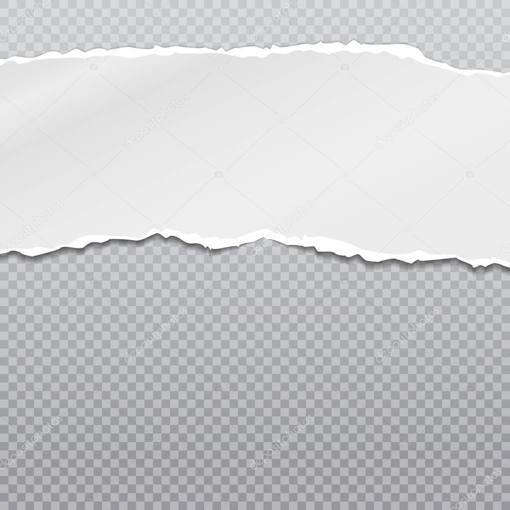 Torn, ripped piece of horizontal white paper with soft shadow is on squared grey background. Vector illustration
