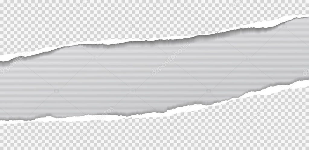 Piece of torn, ripped diagonal paper strips with soft shadow is on white lined background for text. Vector illustration