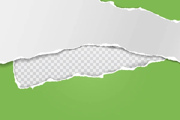 Bitar av sönderrivna, slet vitt och grönt papper med mjuk skugga är på fyrkantig bakgrund för text. Vektorillustration — Stock vektor