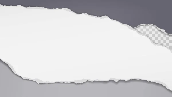 Stukken gescheurd en horizontaal wit en donkergrijs papier met zachte schaduw staan op een vierkante achtergrond voor tekst. Vectorillustratie — Stockvector