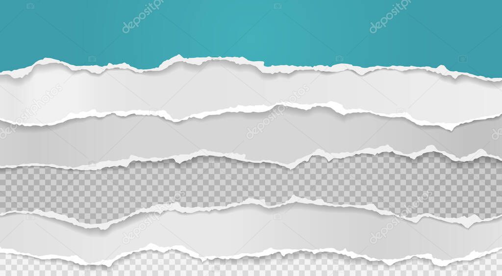 Pieces of torn white turqoise horizontal paper with soft shadow are on squared background for text. Vector illustration
