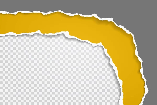 Pezzo di carta orizzontale strappata di colore giallo brillante e grigio scuro con morbida ombra incastrata su sfondo bianco squadrato. Illustrazione vettoriale — Vettoriale Stock