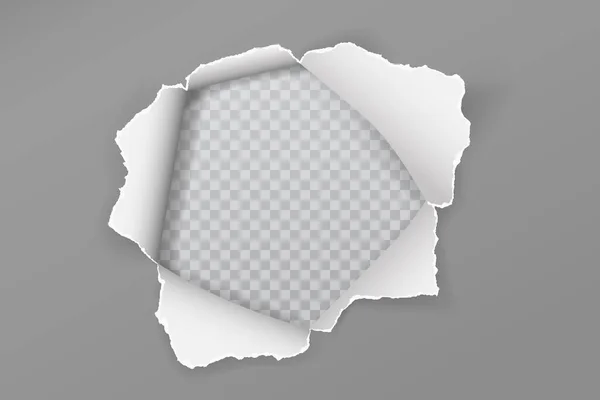 Roztrhaný šedý papírový otvor s měkkým stínem, rámeček za textem je na bílém čtvercovém, průhledném pozadí. Vektorová ilustrace — Stockový vektor