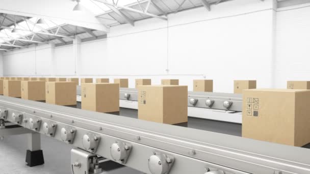 Cardboard Boxes Conveyor Loopable — Stock Video