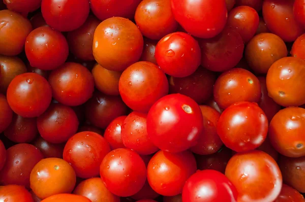 Lezzetli kırmızı domates. Yaz tepsi Pazar tarım çiftlik tam organik sebze arka plan olarak kullanılabilir. (seçici odak)