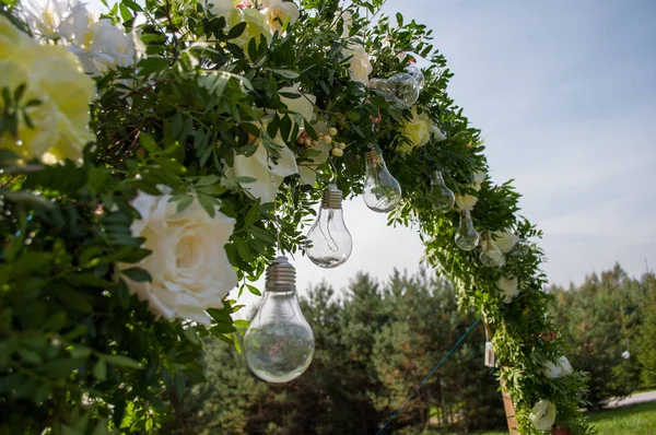 Decorative outdoor string lights hanging on tree in the garden.  Light bulb decor in outdoor party.
