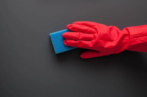 Woman in red gloves holding sponge on gray background. Cleaning service. The concept of cleanliness and order.