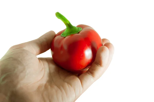 Hand Som Håller Röd Paprika Isolerad Vit — Stockfoto