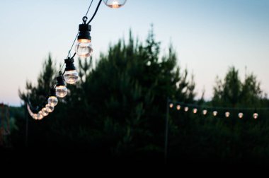 Dekoratif ampuller geceleri bahçede bir ağaca asmak. Keyifli dinlenme ve partiler kavramı.