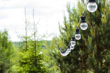 Dekoratif ampuller gündüz bahçede bir ağaca asmak. Keyifli dinlenme ve partiler kavramı.