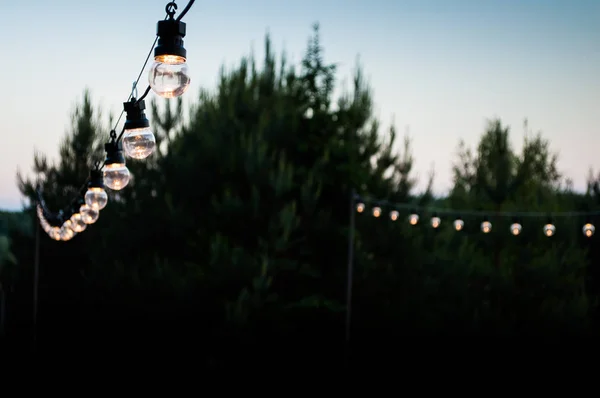 Decorative light bulbs hang on a tree in the garden at night. The concept of pleasant rest and parties.