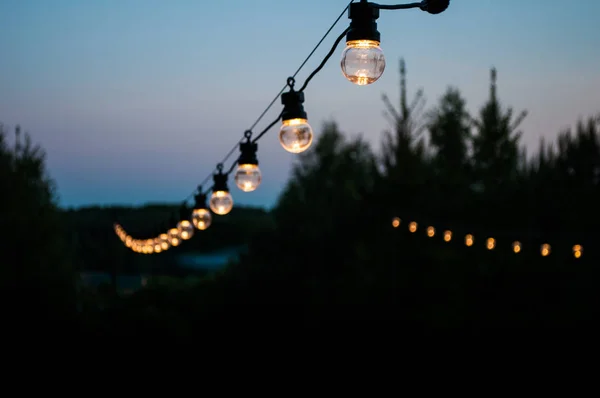 Dekoratif ampuller geceleri bahçede bir ağaca asmak. Keyifli dinlenme ve partiler kavramı.