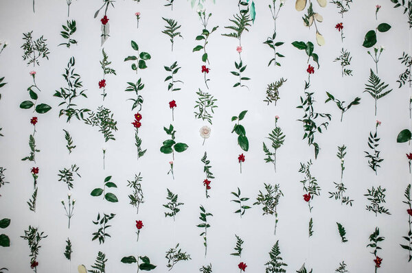 Flowers composition. Garland made of various colorful flowers and branches on white background.