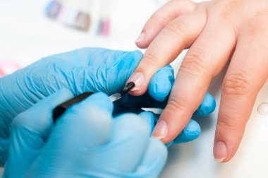 Bakımı ve manikür çivi. Closeup şeffaf oje güzellik salonu sağlıklı doğal kadının çivi uygulayarak güzel eller. Manikürcü el boyama müşterinin çivi.