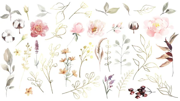 水彩画と黄金の葉 ハーブ 野花や果実の大きなセット 植物相 花のデザイン要素 — ストック写真