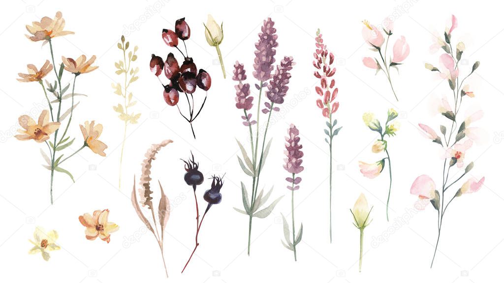 Big set of watercolor green leaves, herbs, branches, wildflowers and berries. Botanical clipart. Floral Design elements