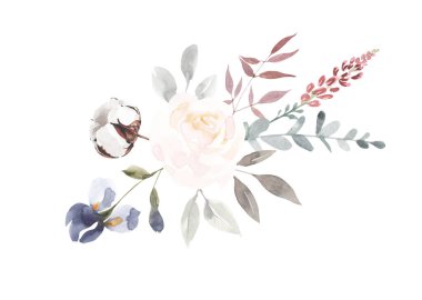 Suluboya çiçekleri. Resimler beyaz arkaplanda izole edildi. Bahçe ve yabani, orman bitkisi, çiçekler, dallar. Botanik bölümü. Resimler beyaz arkaplanda izole edildi.