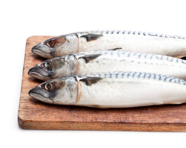 Ağaç ahşap tahta üzerinde beyaz izole üzerinde ham bütün uskumru 