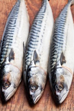 Ağaç ahşap tahta üzerinde ham bütün uskumru 