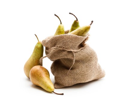 Olgun konferans armut beyaz izole sakcloth çanta 