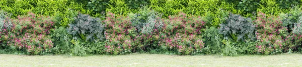 Green  hedge with blooming bushes Seamless endless pattern.