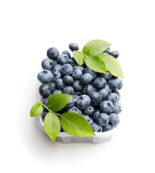 Fresh Blueberries Smal Plastic Container Isolated White — Stock Photo, Image