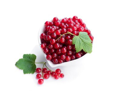 Beyaz izole seramik kase taze kırmızı kuş üzümü 