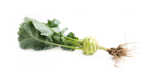 Kohlrabi Cabbage Root Isolated White — Stock Photo, Image