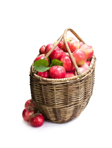 Garden Trading Harvest Basket with Rope Handles full of fresh ap — Stok Foto