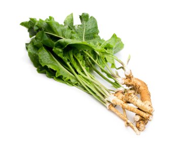 Beyaz arka plan üzerinde izole kökleri ile horseradish 