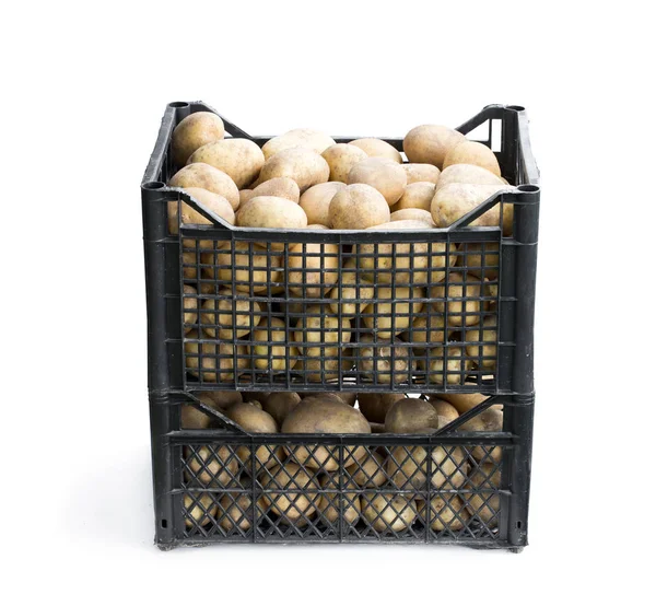 Fresh New Potatoes Plastic Crate Isolated White — Stock Photo, Image