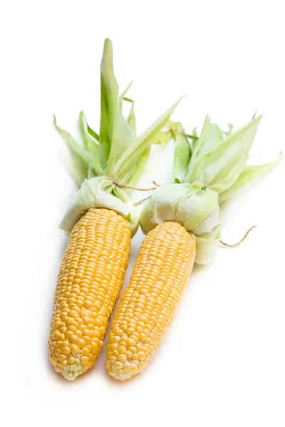 Fresh Corn Cob Isolated White — Stock Photo, Image