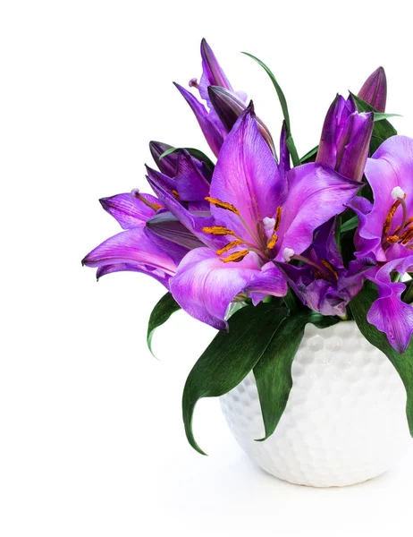 Purple lily flowers bouquet in white pot isolated — Stock Photo, Image