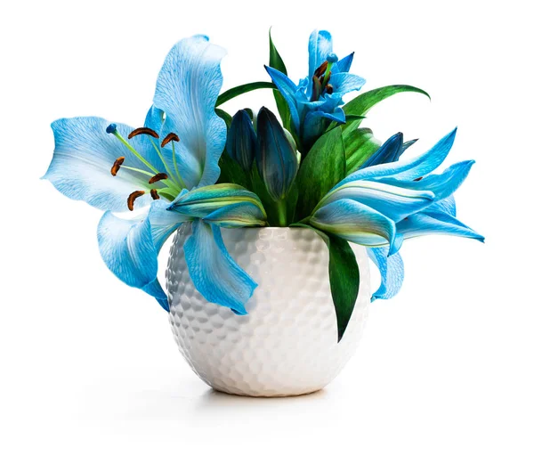 Blue lily flowers bouquet in white pot isolated — Stock Photo, Image