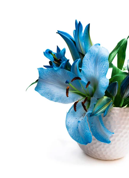 Blue lily flowers bouquet in white pot isolated — Stock Photo, Image