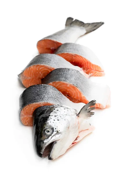 新鲜的全生鲑鱼切成片，在白色上分离 — 图库照片