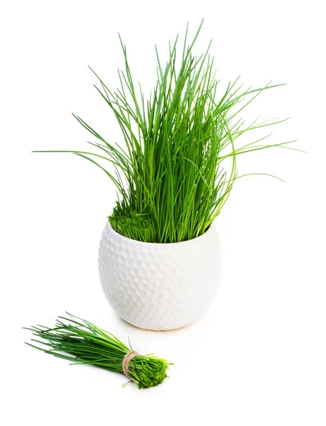 신선한 부추와 냄비에 식물의 무리는 흰색에 고립 — 스톡 사진
