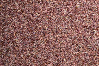 Yabani kırmızı pirinç deseni. Üstte görüntü. 