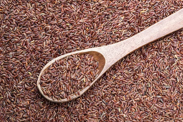 Pattern of wild red rice with wooden spoon. Top view. — Stock Photo, Image