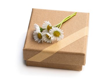 Beyaz izole yabani küçük çiçekler ile kahverengi kağıttan yapılmış ev yapımı hediye kutusu 