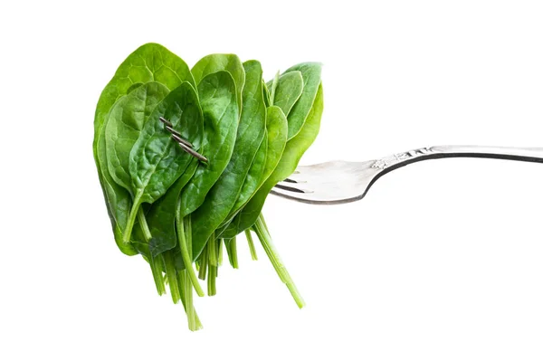 Groene verse spinazie gesneden op vintage vork — Stockfoto